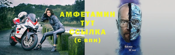 мдпв Новозыбков