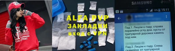 мдпв Новозыбков