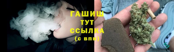 мдпв Новозыбков