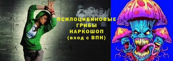 мдпв Новозыбков