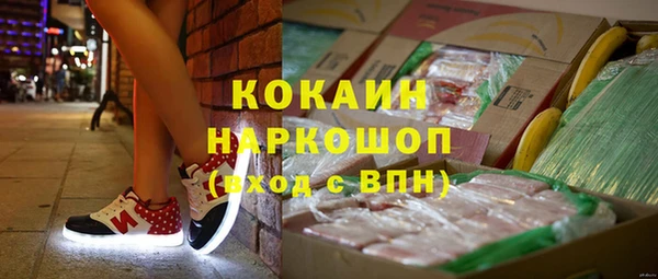 мдпв Новозыбков