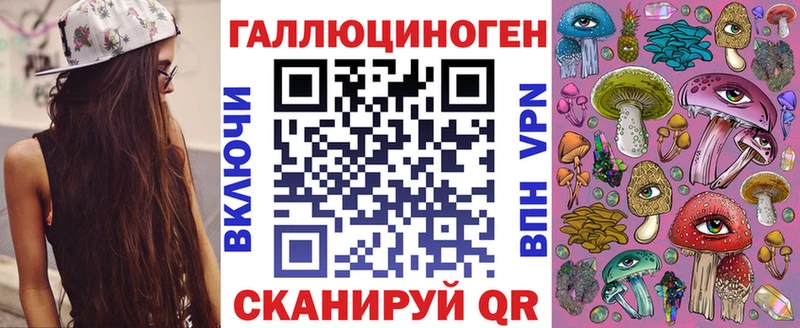 Купить  Курчатов  Галлюциногенные грибы Cubensis 